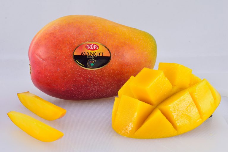 Conoce las principales variedades de mango cultivadas en España
